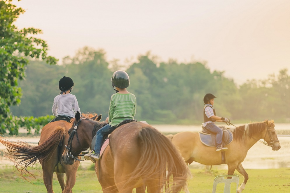 Children riding horses